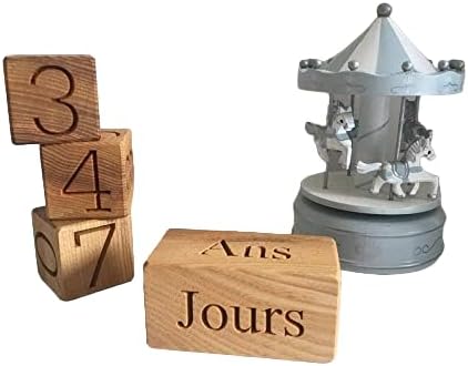 Wood Baby Age Blocks French - French Milestone Blocks - Baby Shower Gift - Personalized Wooden Blocks - Photo Props - Nursery Decor - Maternity Blocks France