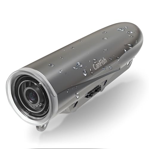 Interesting! Fish Taking Bait Underwater