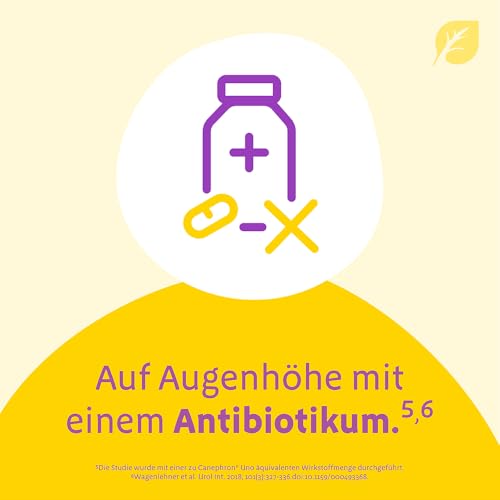 Canephron® Uno – 4-fache Wirkung bei Blasenentzündung*: bei Schmerzen, Krämpfen, Bakterien und Entzündung, mit einzigartiger Heilpflanzen-Kombination, 60 überzogene Tabletten