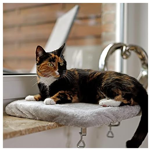 Lionto Fensterliege für Katzen