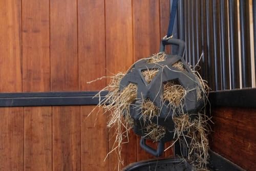 Jouet relaxant boule de foin gris dans l'enclos du salon