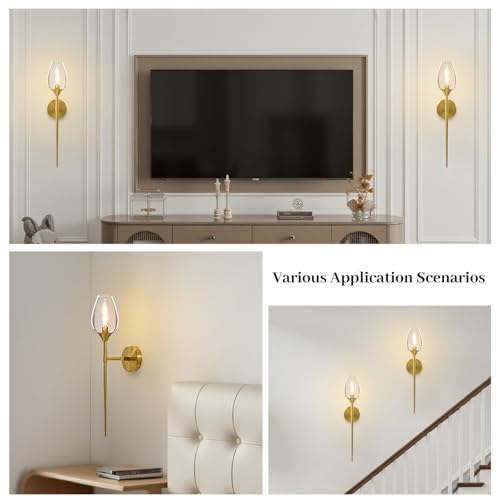 Image of Set of 2 Gold Glass Wall Sconce Light,Vanity Light with Flower Shade | Decorative Wall Sconces Lights over Mirror,Indoor Brass Bathroom Vintage Vanity Lighting for Bedroom Living Room