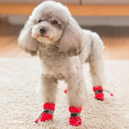 IKOPFLN Hundeschuhe, 4er-Set wasserdichte Schneeschuhe pfotenschutz mit Anti-Rutsch Sohle, pfotenschutz Hundeschnee Stiefel für Kleine Mittlere Hunde(Rot)
