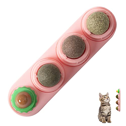 Catnip gato,Bolas comestíveis lanche gato seguro com catnip natural saudável - Brinquedo mastigação