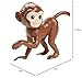Barbie Wildlife Conservationist Doll, Brunette, Inspired by National Geographic for Kids 3 Years to 7 Years Old