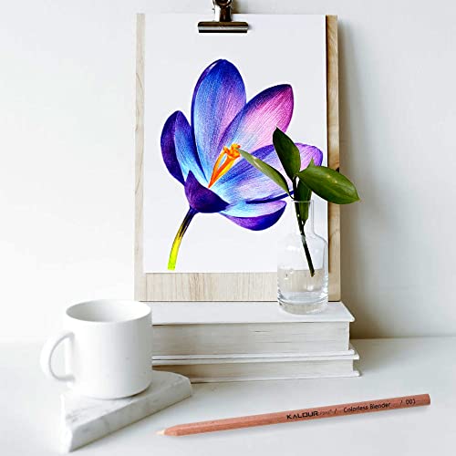 Kalour Farbloses Wachsbasiertes Stifte-Set, perfekt zum Verblenden, ideal für Buntstifte und Kunst