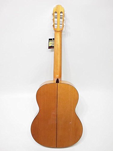 Amazon | ARIA/フラメンコギター A-50F【アリア】 | クラシック Amazon | ARIA/フラメンコギター A-50F【アリア】 | クラシック