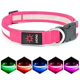 Vizpet LED Dog Collar, Light Up Dog Collar Adjustable USB Rechargeable Super Bright Safety Light Glowing Collars for Dogs (Medium, Pink)