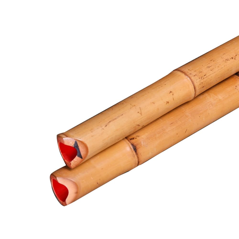 Giappone shakuhachi radice di bambù naturale shakuhachi tutto vegetariano shakuhachi bambù esportazione Giappone shakuhachi cassia bambù shakuhachi (Color : Key of F)