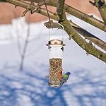 Urban Deco Vogelfutterspender mit 2 Futteröffnungen, Vogelfutterhaus mit 21,5 cm Massivem Transparentrohr, Metall Futterhaus für Vögel (Kupfer-2PK) – Bild 3