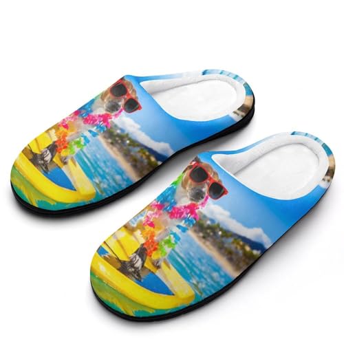 [STEBVI] Xbp  WbNbZeA   [V[Y  nEXXbp  Y fB[X  ~ g 􂦂 qp p jp v[g