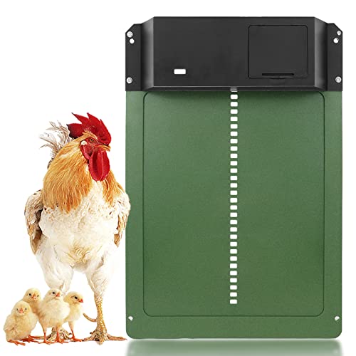 Top 10 Automatic Chicken Coop Doors of 2022 Katynel