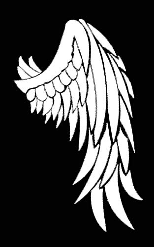 Raven Wings Cannabis Rating Journal: Blank form notebook with discreet cover used for organizing information and rate THC CBD strains of marijuana for either medical or recreational Raven Wings Cannabis Rating Journal: Blank form notebook with discreet cover used for organizing information and rate THC CBD strains of marijuana for either medical or recreational