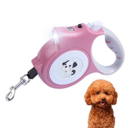 Ԍp[h - u[LtԎUpCgAbvp[h - Ղ̃p[hAsALvAOoAÛ߂̌̍s⏕