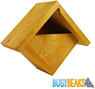 BusyBeaks Standard Nest Boxes - Traditional Nesting Box For Wild Garden Birds (Robin Nest Box)