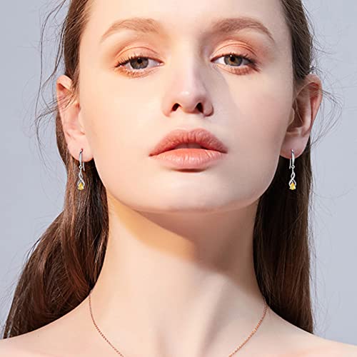 Nupdot Dangle Earrings For Women Girls, Sterling Silver November Birthstone Cubic Zirconia Drop Birthday Gifts For Her #TOP3