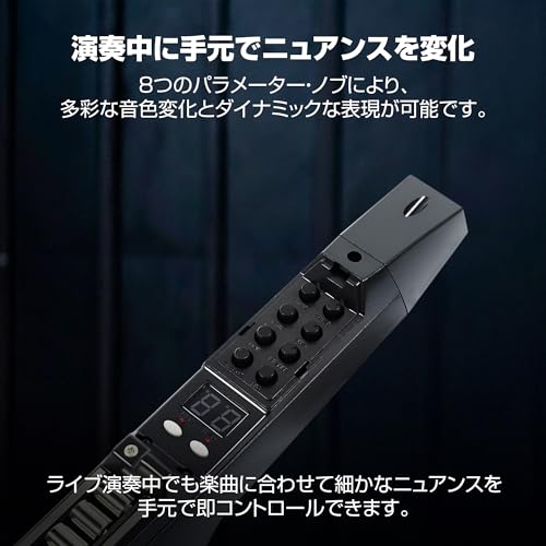Akai Professional EWI 5000 ウインドシンセサイザー の商品画像 3