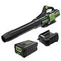 Greenworks 60V 700 CFM Brushless Leaf Blower, 5.0 Ah Battery and Rapid Charger