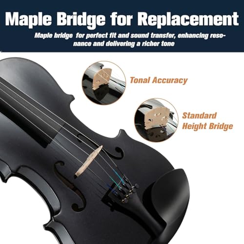 Image of Mendini By Cecilio Violin 4 /4 Full Size For Beginners - Fiddle Solidwood Kit with Hard Case - Acoustic Violins with Bow, Rosin, Tuner, Extra Strings & Bridge, Shoulder Rest and Lesson Book (Black)