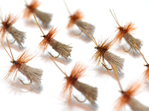 uN[N GbWv Premium Collection Sb_[hJfBX ZbW sedge/natural tC (12, ZbWiGoj)