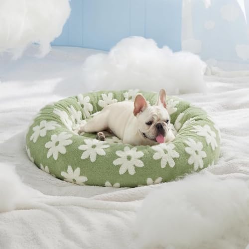 Coussin d'hiver chaud pour chat lavable avec design antidérapant doux - 5