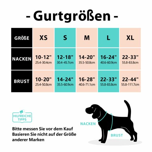 PoyPet Keine Pull Hundegeschirr Front Reflektierende Pet Weste für Hunde mit Einfache Kontrolle Griff und Rückseite perfekt für den täglichen Training, Walken, Running(Kariertes Beige,M)