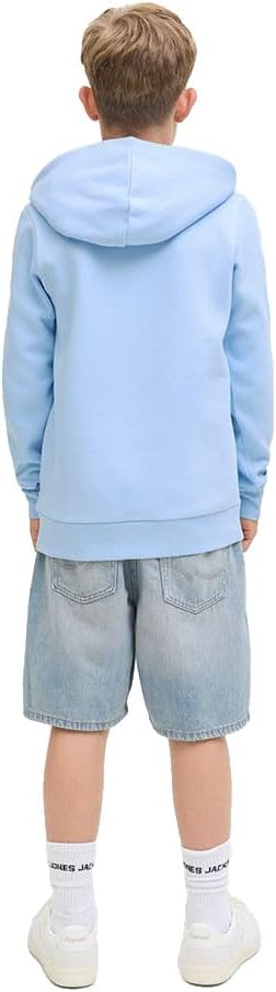 JACK & JONES Jjelogo Sweat Hood 2 Col Aw25 Felpa Con Cappuccio Ragazzo - Taglio Normale - 2