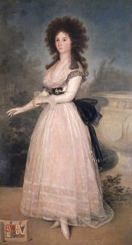 Affiche Toile Francisco De Goya Art Portrait Dona Tadea Arias Décoration Murale