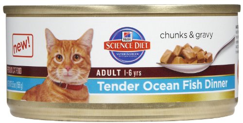 Hill’s Science Diet Adult Canned Cat Food, Tender Ocean Fish Dinner, 5.5 oz, 24 Pack wet cat food