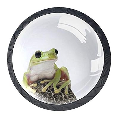 Green Tree Frog White Background Glass for Kitchen,Cupboard 4 Pack