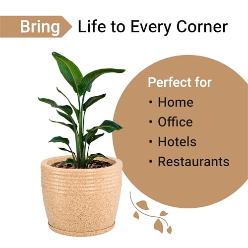 Image of Kuber Industries 12-Inch Roto Mould German Polymer Big Size Flower Pot with Bottom Tray | Indoor /Outdoor Tree Gamla Planter for Living Room, Resorts, Hotels, Terrace & Garden | Marble Sunshine - Sand