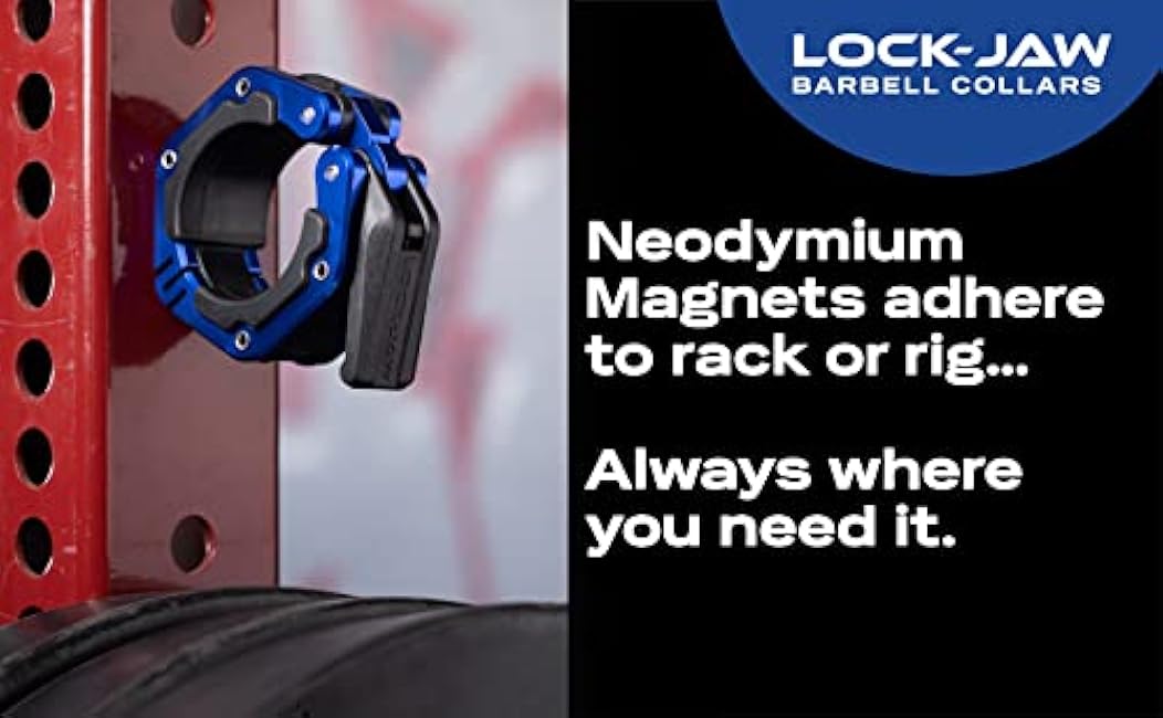 Lock-Jaw Flex Quick Release Aluminum Barbell Collar with Magnet (Grey)