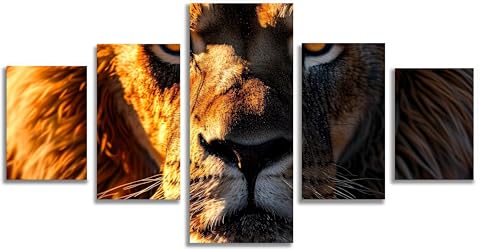 Kit complet de broderie diamant lion Mefooge, diamond painting 5 pack pour évacuer le stress
