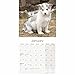 Alaskan Malamute Calendar - Dog Breed Calendars - 2021 - 2022 wall calendars - 16 Month by Avonside