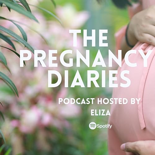 The Pregnancy Diaries cover art