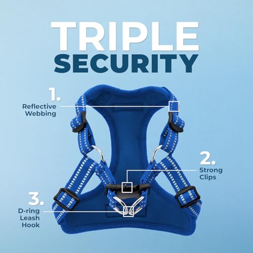Image of Best Pet Supplies Voyager Adjustable Step-in Flex Breathable Mesh Dog Harness for Small Medium Large Dogs Leash Set (Royal Blue), L