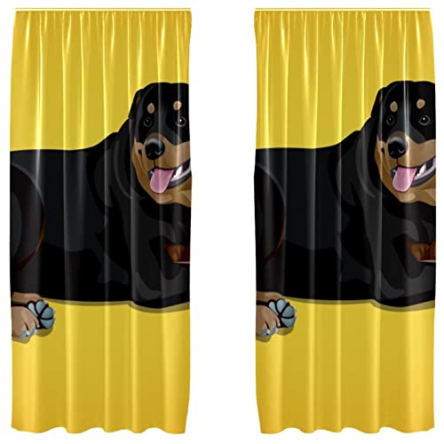 Cortinas de perro amarillo para evitar reflejos de luz en el salón de paso 2