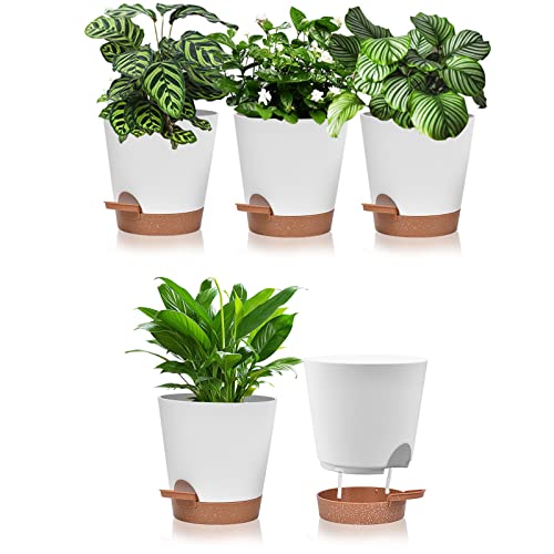 Vusddy 5 Macetas De Riego Automático, Maceta De Plastico De 6 Pulgadas Con Platillo, Maceta Redonda Para Hierbas Con Sistema De Riego Para Interior, Balcon, Jardín, Cactus Suculento