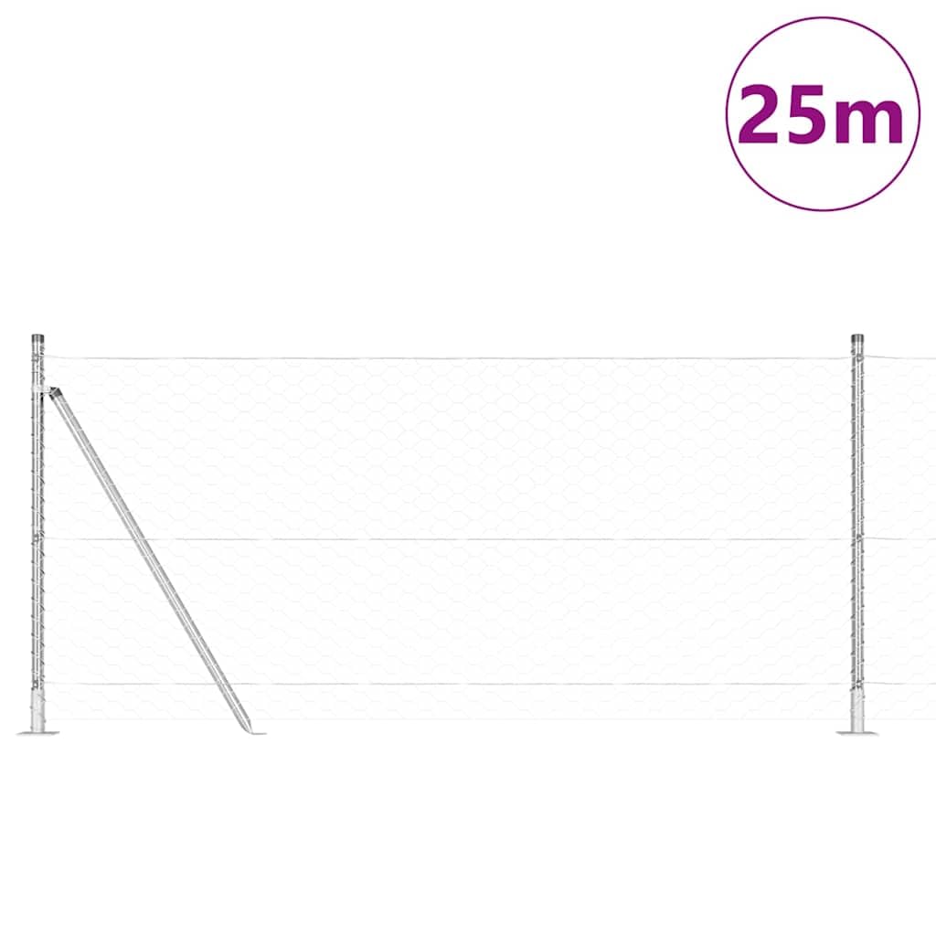 Genérico Poste de Valla Plateado 25 x 1 m (Malla de 50 mm) Acero-3353801