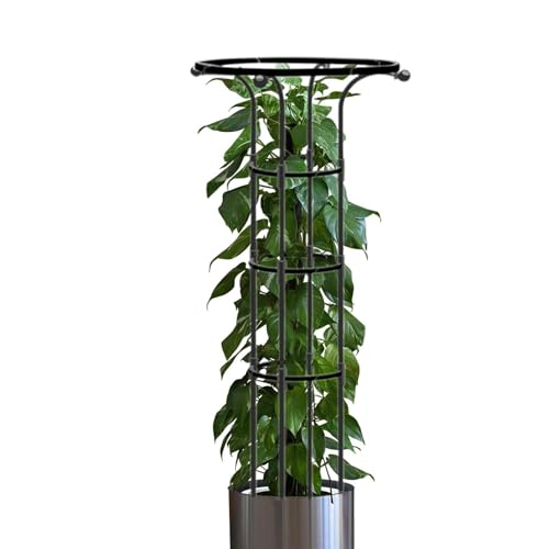 Obelisco de jardín para plantas trepadoras, inoxidable, metal recubierto de plástico, soporte para plantas, torre de jardín, ayuda para enredaderas para interiores, planta en maceta, jaula de tomate,