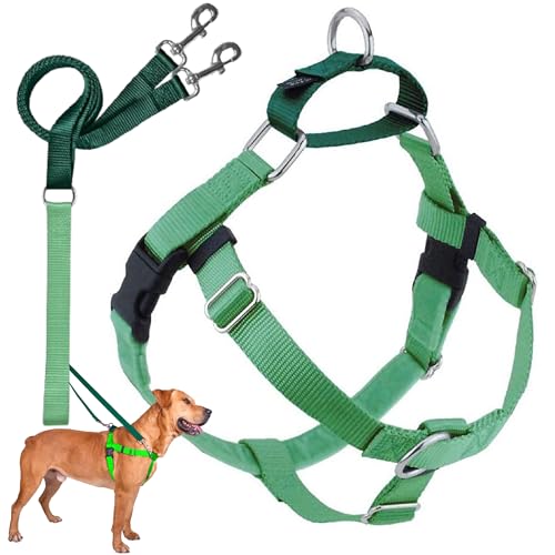 2 Hounds Design Freedom No Pull Dog Harness, Adjustable Harness and Leash Set, Easy Walking & Comfortable Control, Fits Small, Medium & Large Dogs, Solid Colors, Made in USA, 1" MD, Neon Green