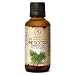 Produktbild Kiefernadelöl Ätherisch 50ml - Weihnachtsbaumduft - Pinus Sylvestris Austria - 100% Natürlich Ätherisches Öl Kiefer - Pine Scotch Oil - Frischer Nadelduft für Sauna - Aromatherapie - Diffuser
