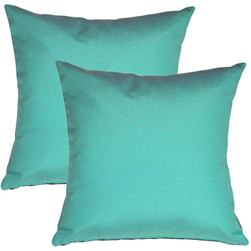 PILLOW DÉCOR Sunbrella Outdoor Pillow, Aruba Turquoise, 20