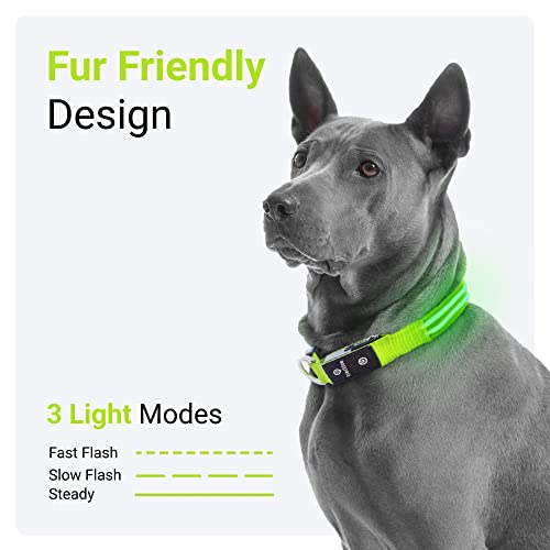 Tractive Led Light Up Dog Collar Usb Rechargeable Waterproof (Green) #TOP2