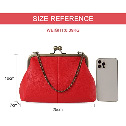 Lanpet Women Classical Kiss Lock Clutch with Chain Strap Shoulder Bag Purse Wallet3