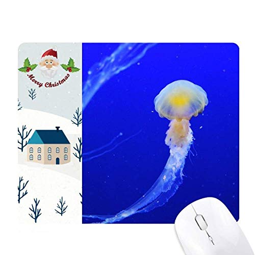 CmNQȊw͎R̎ʐ^ T^N[XƉS̃}EXpbh