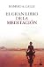 El gran libro de la meditaci&Atilde;&sup3;n (Pr&Atilde;&iexcl;cticos) (Spanish Edition)