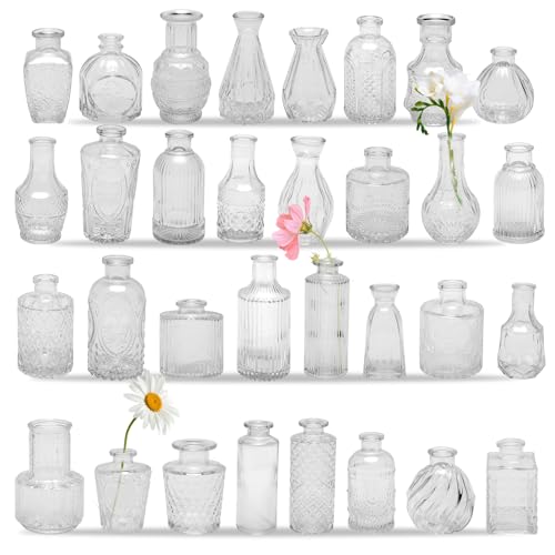 32 PCS Clear Glass Bud Vases Set,Small Flower Arrangement Vase,Vintage