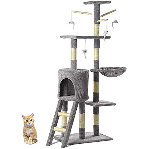 locallocal Cat Tree Activity Center kitten climbing tower play frame with gray cat playtoy Cover