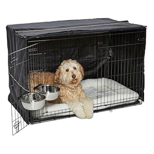 MidWest Homes iCrate 1548DD-KIT Hundebox Starterset
